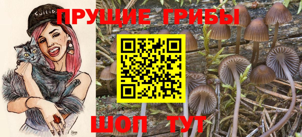 Псилоцибиновые грибы Cubensis Татарск